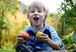 Obstsortengarten